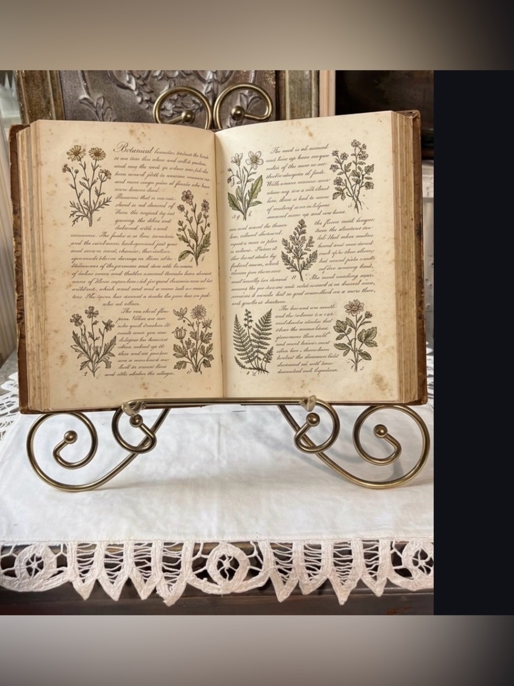 Antique Gold metal scroll work display stand